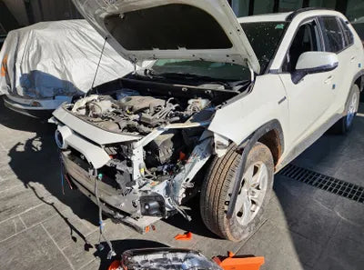2019 Toyota RAV4 VIN: