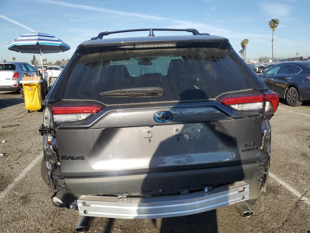 2024 TOYOTA RAV4 XLE VIN:2T3RWRFV5RW205528