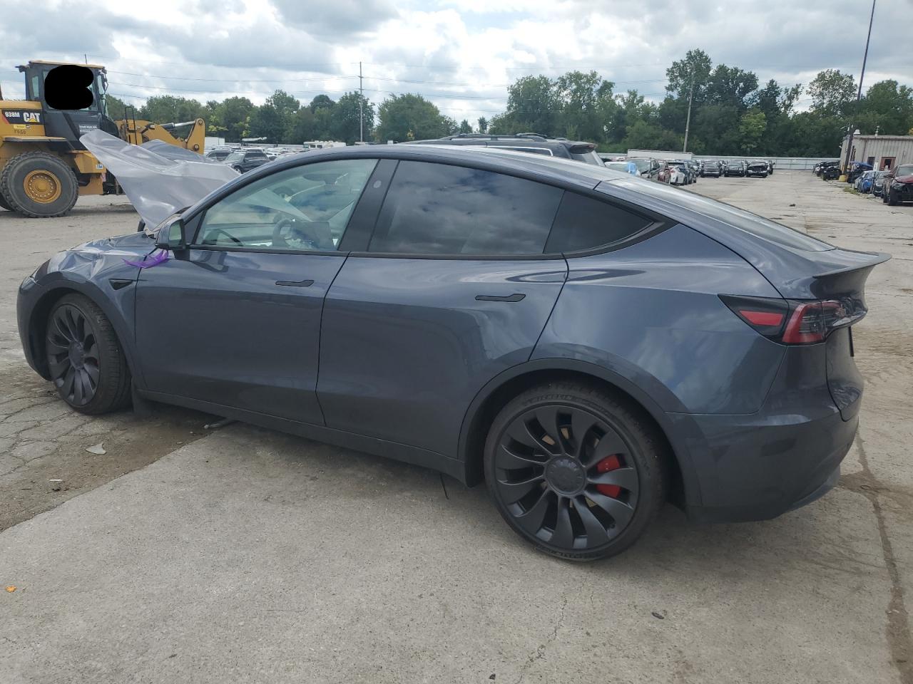 2023 TESLA MODEL Y  VIN:7SAYGDEFXPF956118