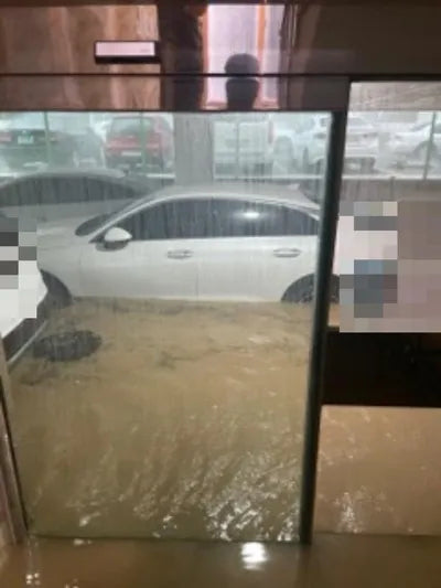 2022 Kia K5 KNAG241ABNA187507 VIN:KNAG241ABNA187507