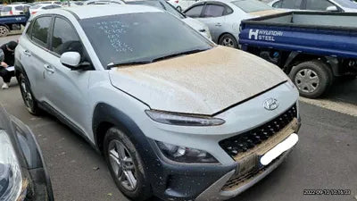 2021 Hyundai Kona KMHK3813GMU699266 VIN:KMHK3813GMU699266