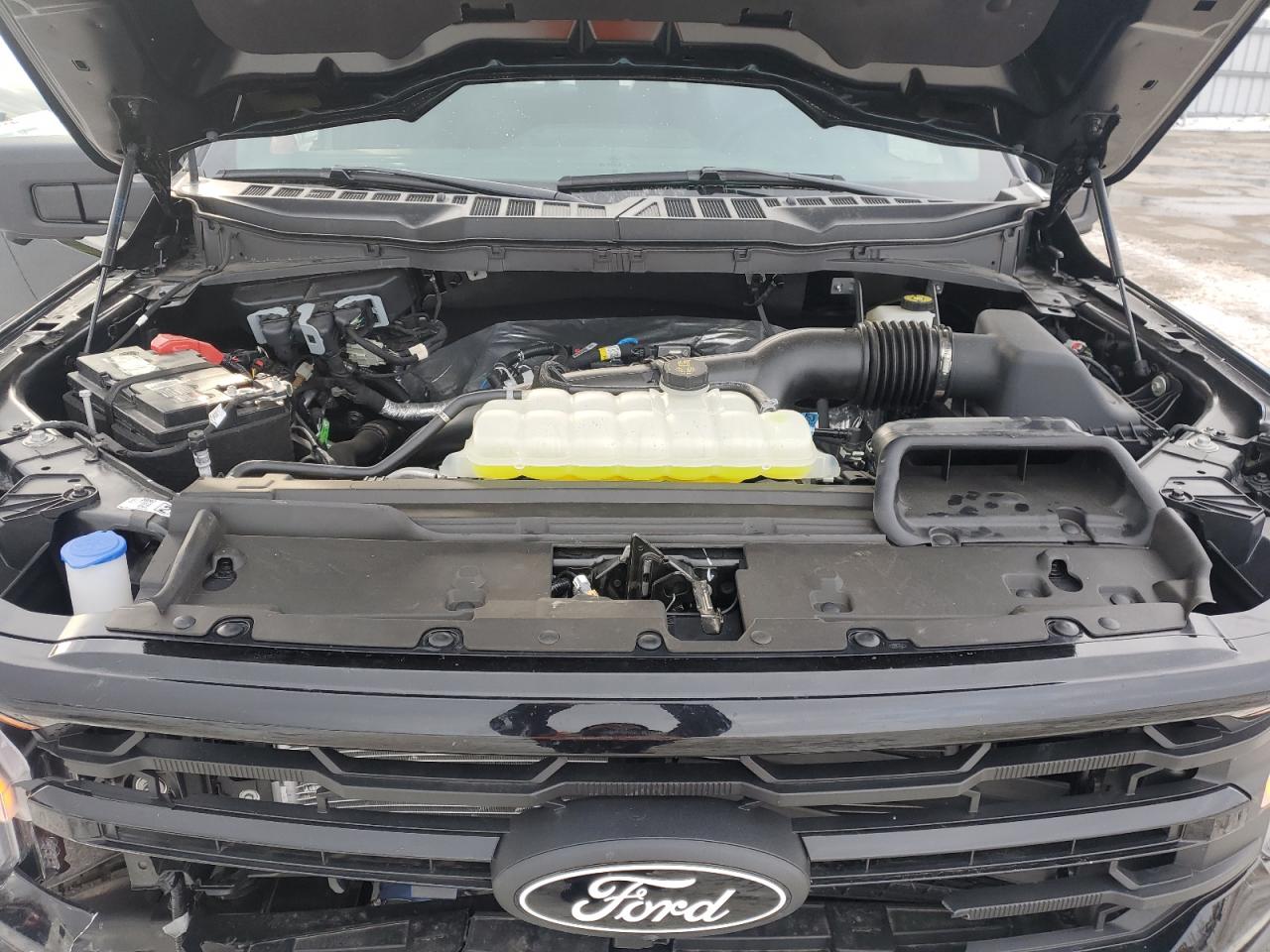 2024 FORD F150 XLT VIN:1FTEW3LP8RKD69396