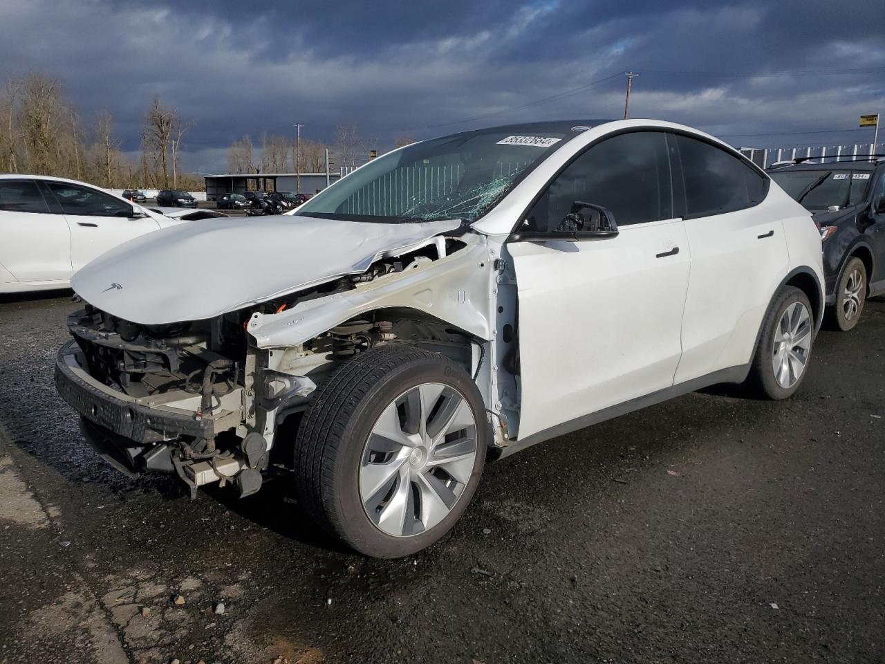 2022 TESLA MODEL Y  VIN:7SAYGDEE8NF556384
