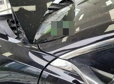 2020 Tesla Model 3 5YJ3E1EBXLF726016 VIN:5YJ3E1EBXLF726016