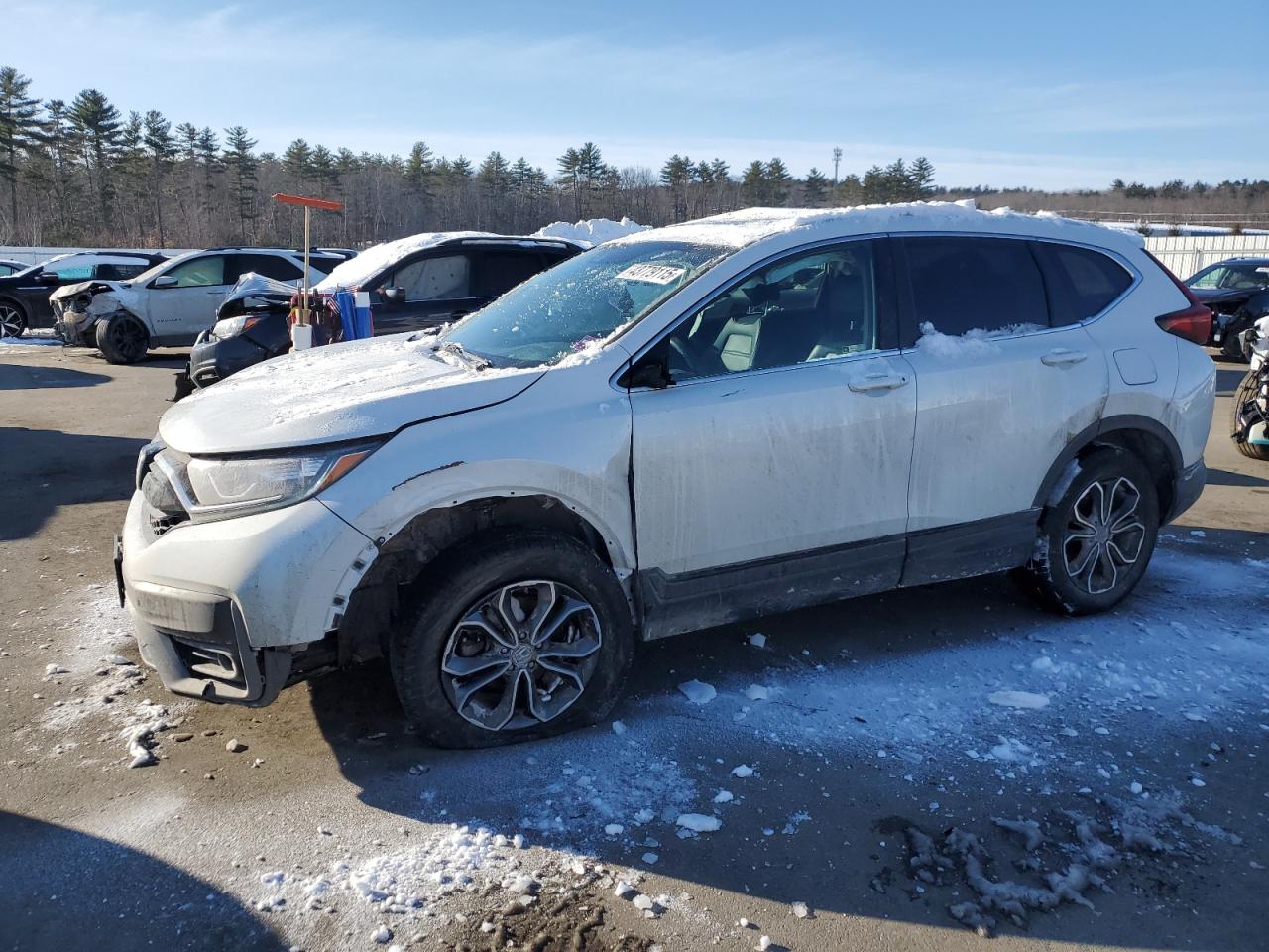 2022 HONDA CR-V EXL VIN:2HKRW2H80NH647813