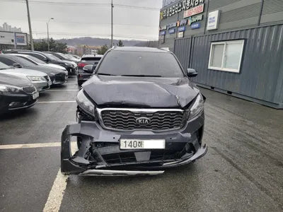 2019 Kia Sorento KNAPH81BBLA633531 VIN:KNAPH81BBLA633531