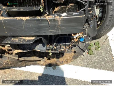 2021 Kia K5 KNAG3412BNA170214 VIN:KNAG3412BNA170214