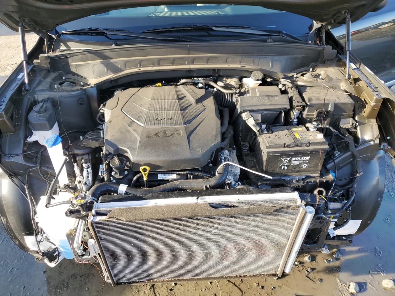 2024 KIA TELLURIDE EX VIN:5XYP3DGC4RG492343