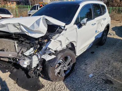 2021 Hyundai Santa FE KMHS381LGMU386248 VIN:KMHS381LGMU386248