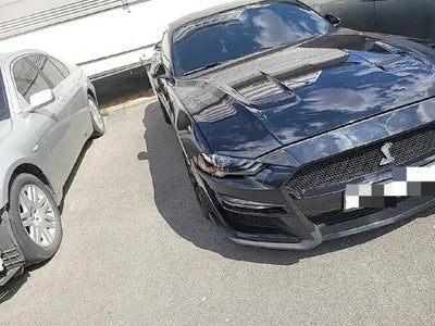 2019 Ford Mustang GT VIN: