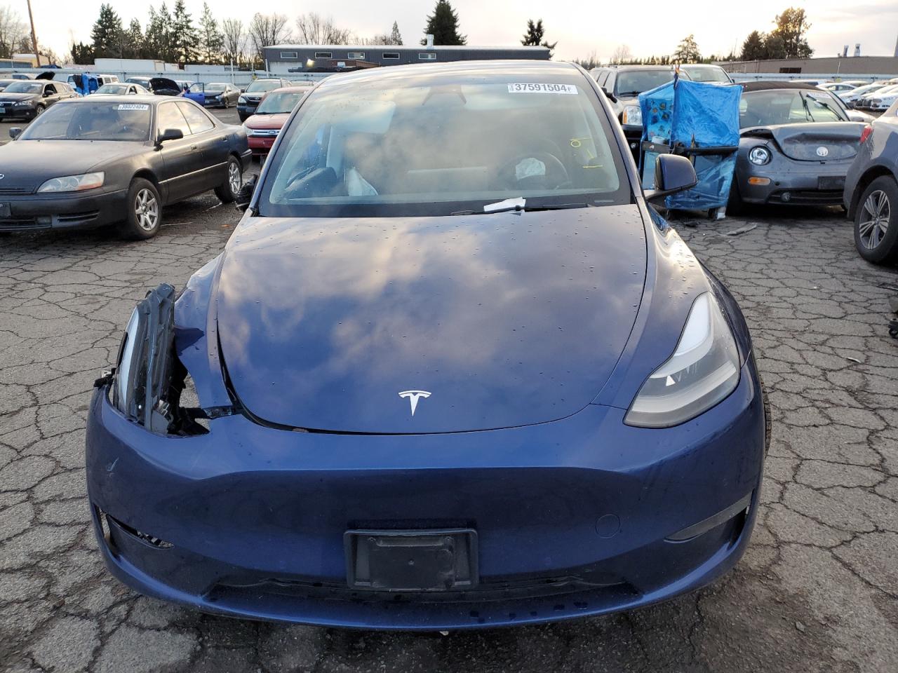 2022 TESLA MODEL Y  VIN:7SAYGDEF9NF400038