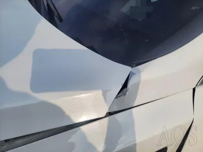 2019 Kia K5 VIN: