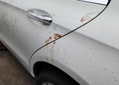 2017 Mercedes-Benz E 220 WDDZF0FB8HA217533 VIN:WDDZF0FB8HA217533