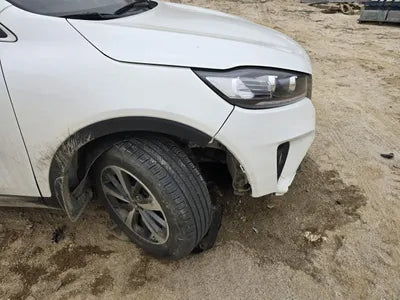 2019 Kia Sorento KNAPG81BDKA540068 VIN:KNAPG81BDKA540068