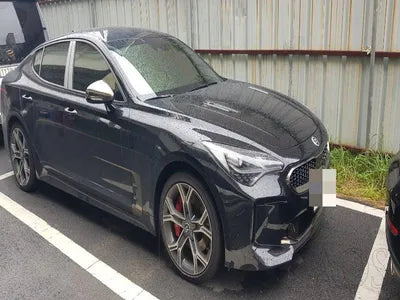 2020 Kia Stinger KNAE751CDLS085806 VIN:KNAE751CDLS085806