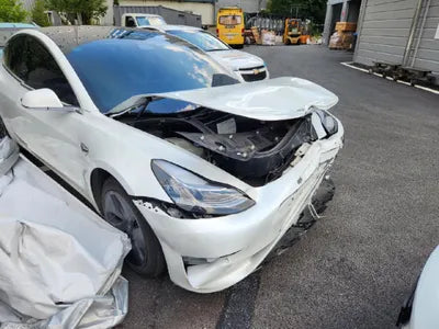 2020 Tesla Model 3 5YJ3E1EB3LF809738 VIN:5YJ3E1EB3LF809738