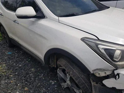 2015 Hyundai Santa FE KMHSW81UDGU600286 VIN:KMHSW81UDGU600286