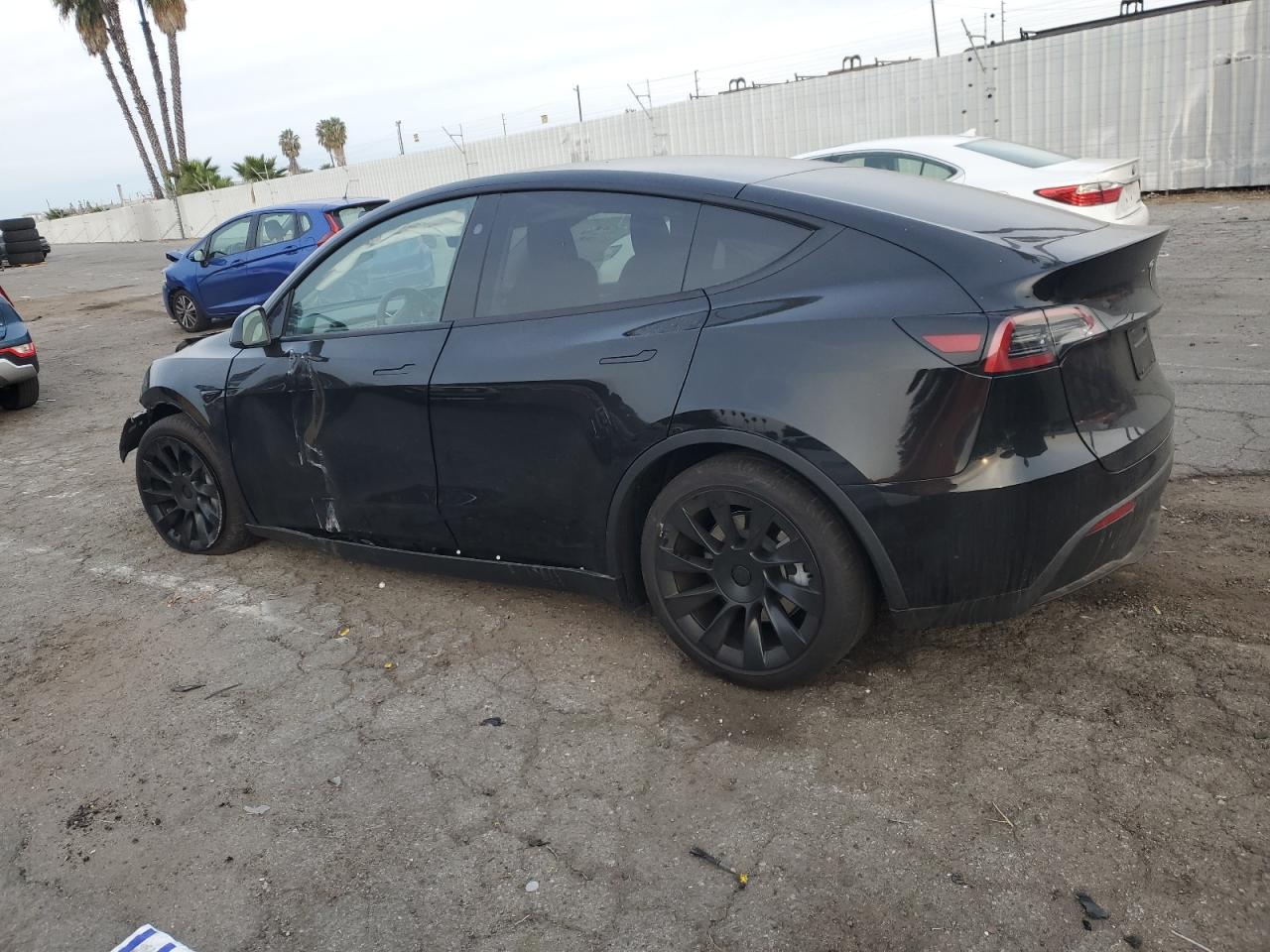 2024 TESLA MODEL Y  VIN:7SAYGDED8RF094440