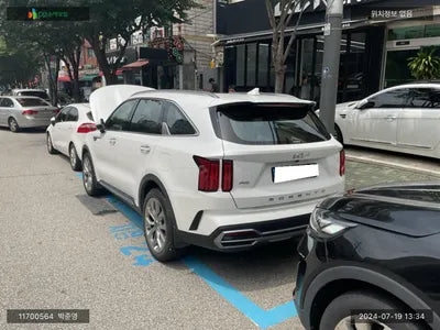 2022 Kia Sorento KNARF81BHNA163046 VIN:KNARF81BHNA163046