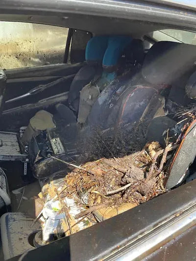 2016 salm bmw gran turismo efficientynamics NONE VIN: