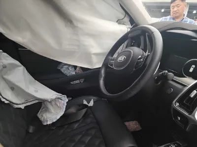 2021 Kia Sorento KNARL81BGMA025224 VIN:KNARL81BGMA025224