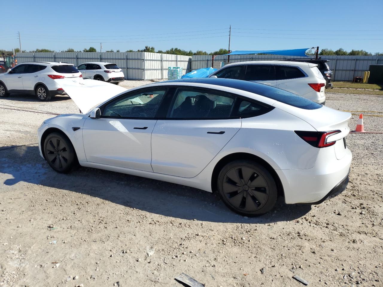 2024 TESLA MODEL 3  VIN:5YJ3E1EA0RF769716