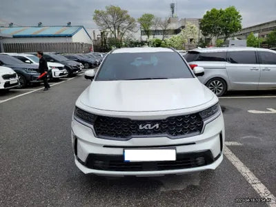2022 Kia Sorento KNARJ81FHNA165991 VIN:KNARJ81FHNA165991