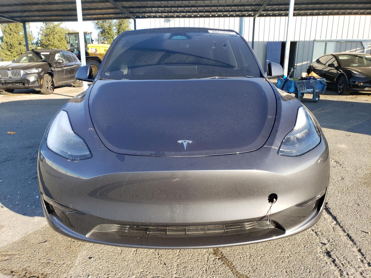 2023 TESLA MODEL Y  VIN:7SAYGDEE6PF701344