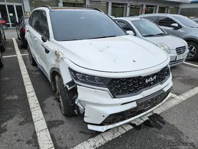 2023 Kia Sorento KNARL81GBPA135233 VIN:KNARL81GBPA135233