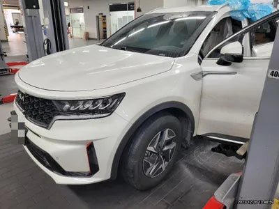 2021 Kia Sorento KNARH81BHMA048343 VIN:KNARH81BHMA048343