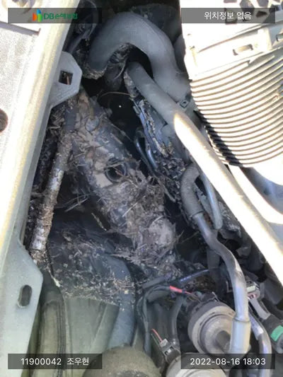 2019 Mercedes-Benz S 560 KL90A4AFGKZ1PD001 VIN:KL90A4AFGKZ1PD001