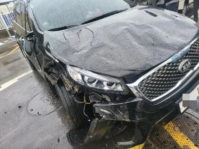 2017 Kia Sorento KNAPS81ABHA319110 VIN:KNAPS81ABHA319110