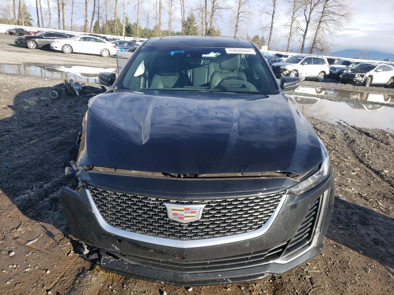 2023 CADILLAC CT5 PREMIUM LUXURY VIN:1G6DS5RW7P0110038