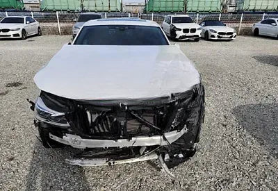 2019 Maybach 62 WBAJX210XKBJ21987 VIN:WBAJX210XKBJ21987