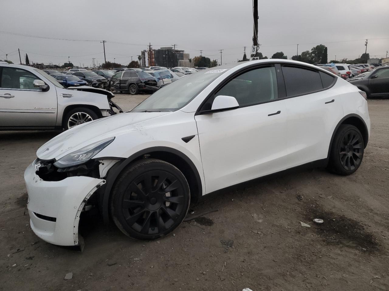 2022 TESLA MODEL Y  VIN:7SAYGDEE5NF370687