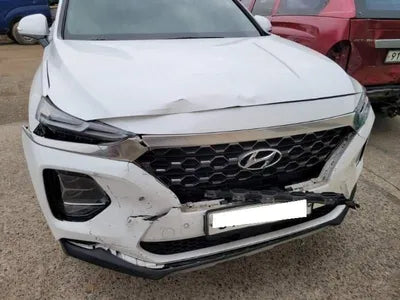 2019 Hyundai Santa FE KMHS381CBKU066794 VIN:KMHS381CBKU066794