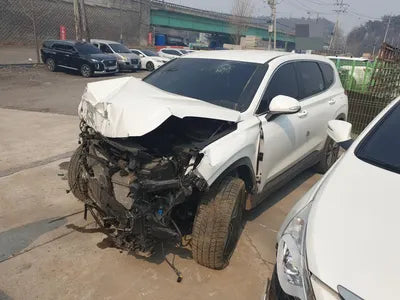 2019 Hyundai Santa FE KMHS281BDKU136900 VIN:KMHS281BDKU136900