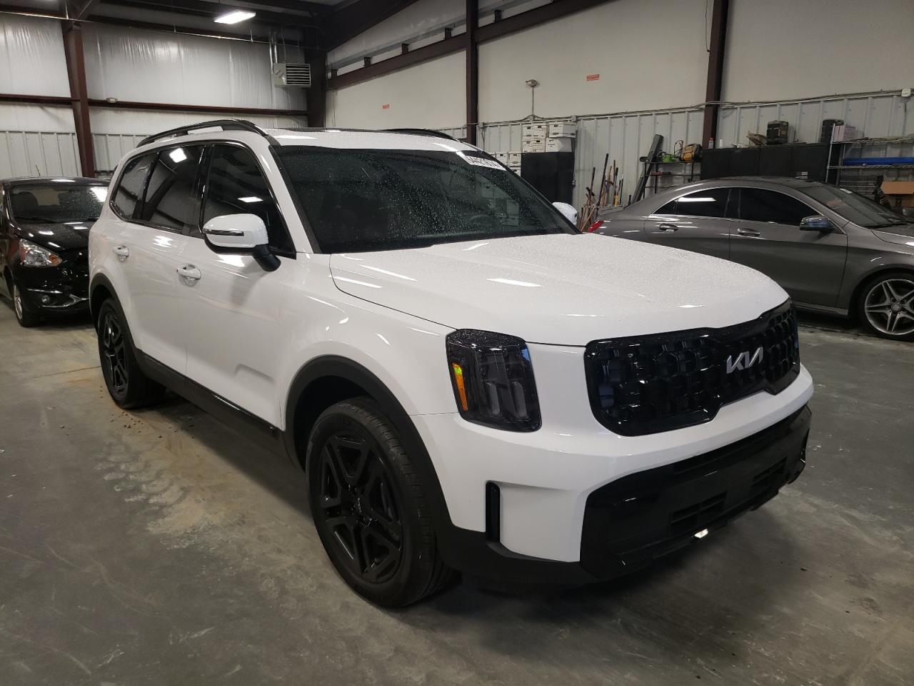 2024 KIA TELLURIDE EX VIN:5XYP3DGC5RG420082