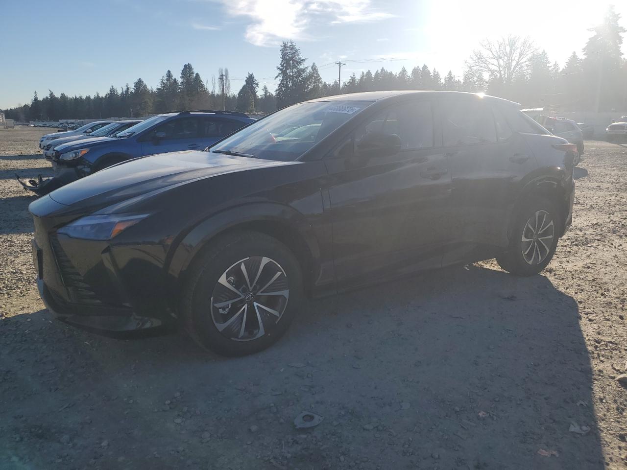 2024 LEXUS RZ 300E VIN:JTJABABB4RA007394