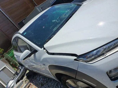 2019 Hyundai Kona KMHK381GFKU031961 VIN:KMHK381GFKU031961