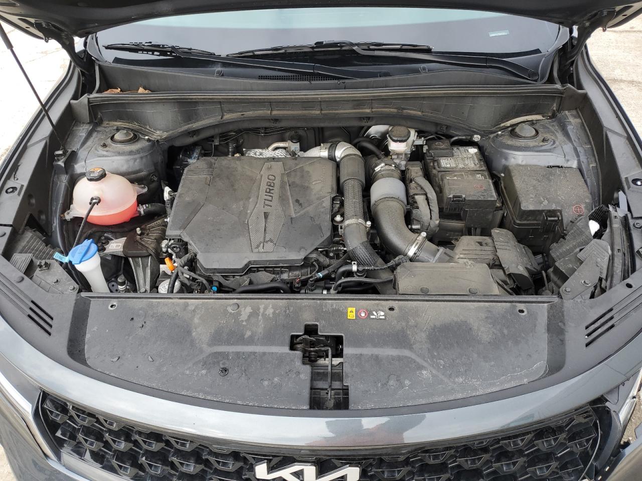 2023 KIA SORENTO SX VIN:5XYRKDLF5PG201387