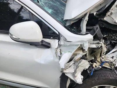2019 Hyundai Santa FE KMHS381ADKU168779 VIN:KMHS381ADKU168779