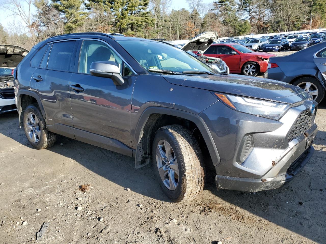 2024 TOYOTA RAV4 LE VIN:JTMMWRFV6RD234804