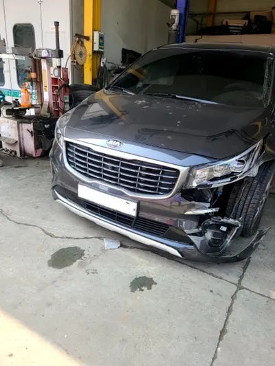 2019 Kia Carnival KNAME81ABKS533878 VIN:KNAME81ABKS533878
