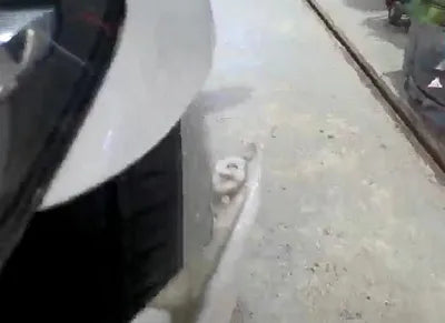 2015 BMW 520 WBA5E510XFG064918 VIN:WBA5E510XFG064918