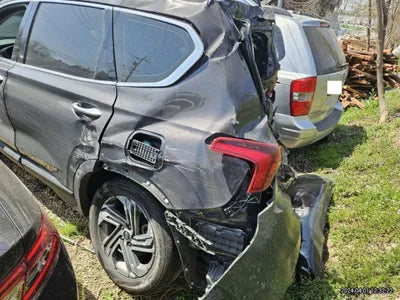 2020 Hyundai Santa FE KMHS381HGMU323913 VIN:KMHS381HGMU323913