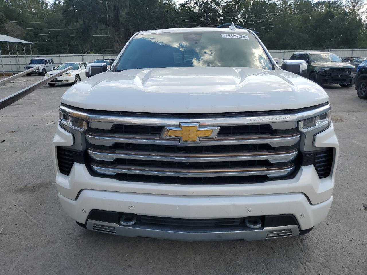 2022 CHEVROLET SILVERADO K1500 HIGH COUNTRY VIN:1GCUDJED3NZ515424