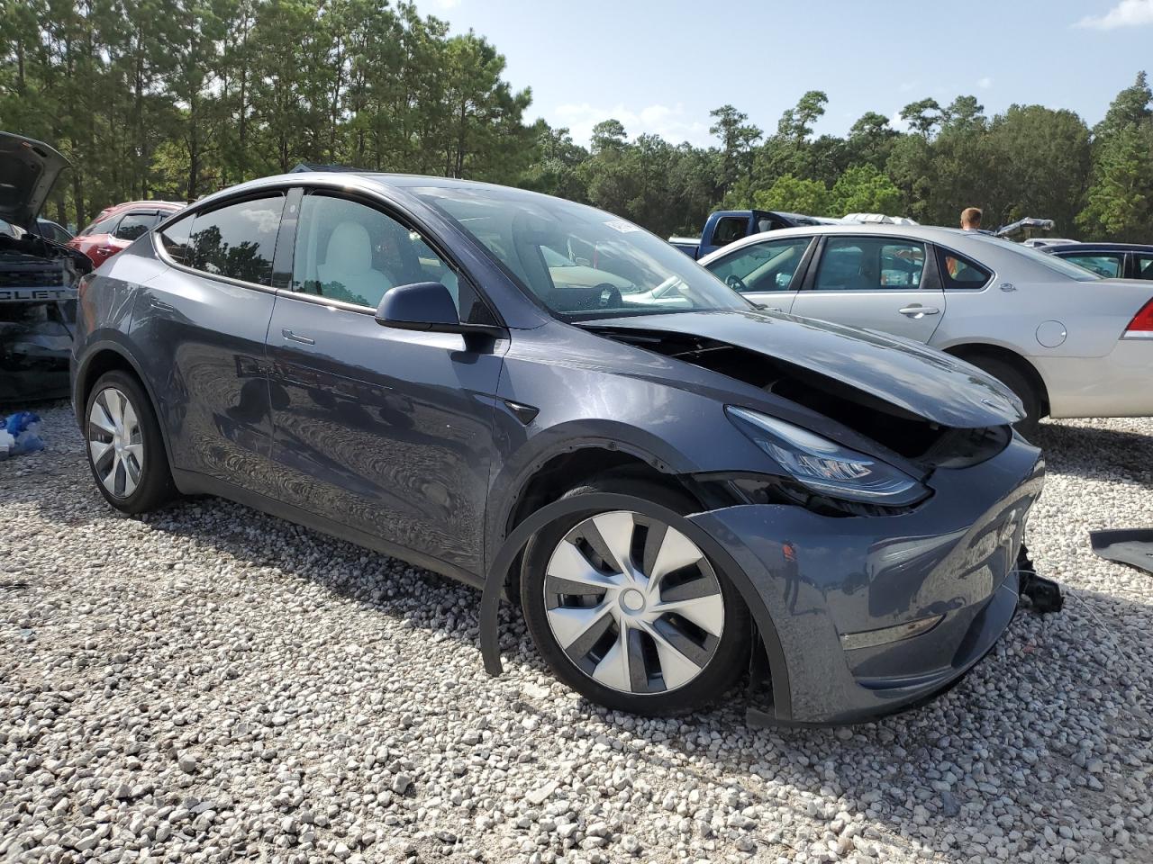 2023 TESLA MODEL Y  VIN:7SAYGDEE2PA129881