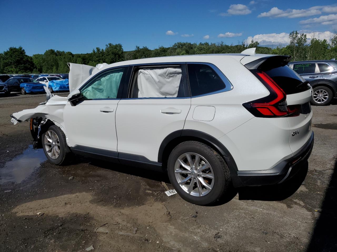 2024 HONDA CR-V EXL VIN:2HKRS4H78RH405534