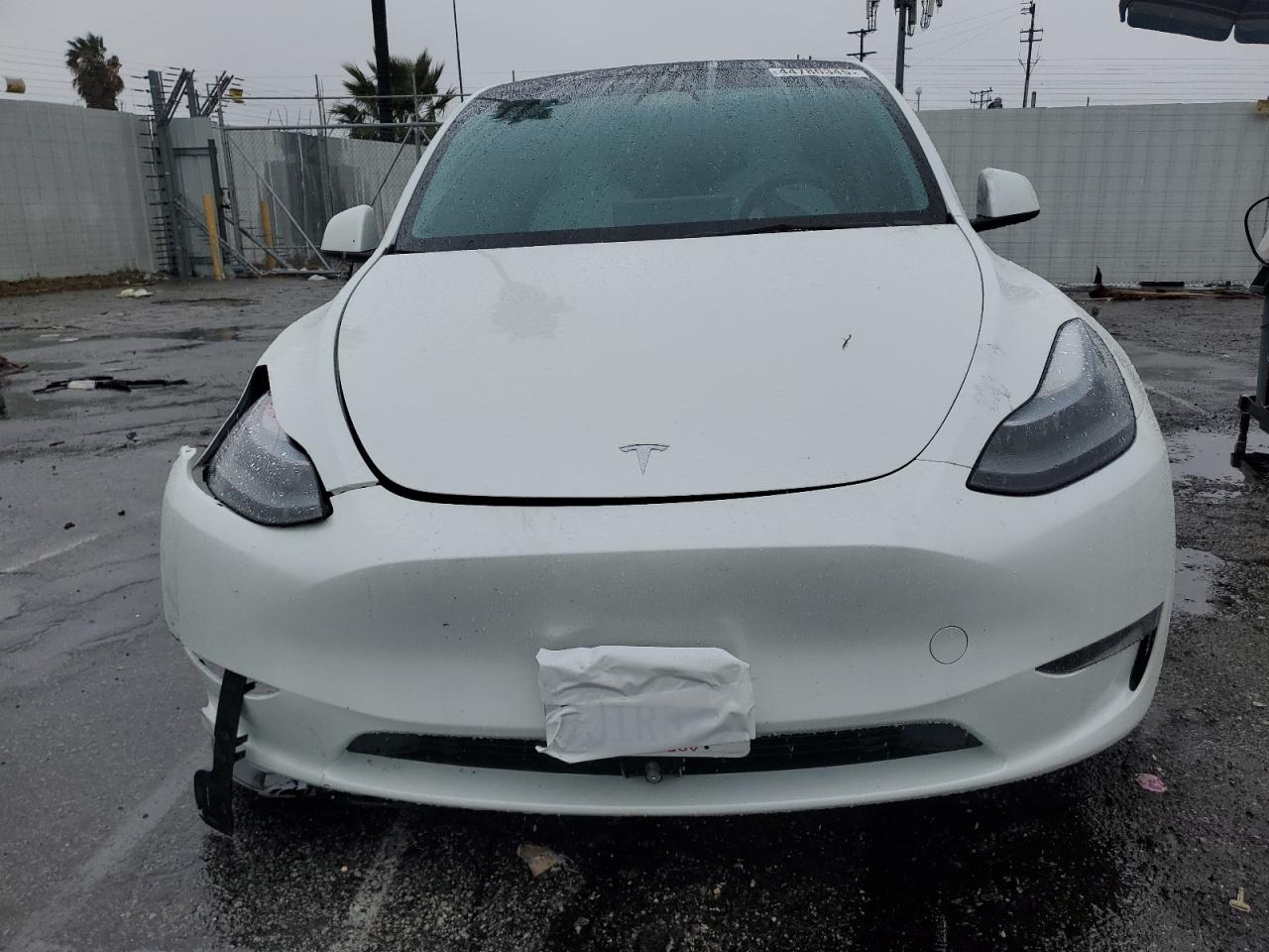 2023 TESLA MODEL Y  VIN:7SAYGDEE4PF631407